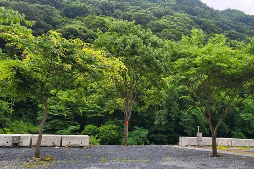 하옥 가람캠핑장 사진 3