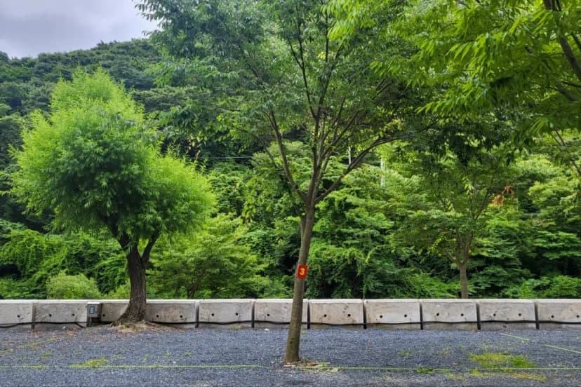하옥 가람캠핑장 사진 12