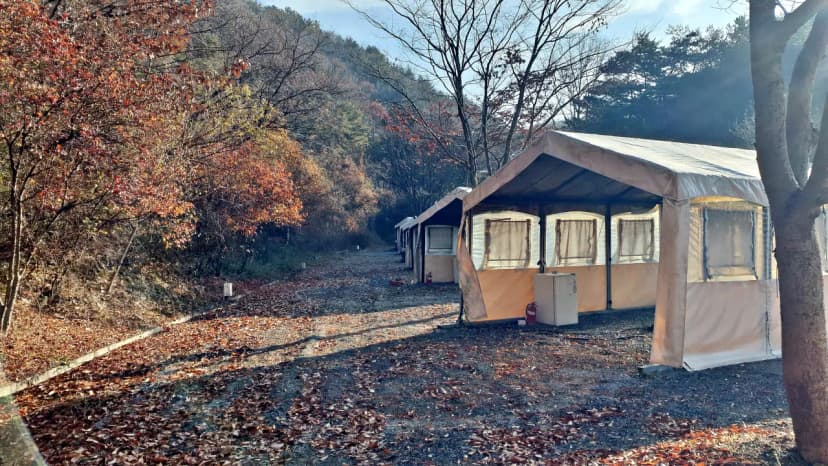 하이락글램핑 사진 6