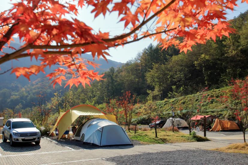 (주)하이원추추파크 사진 6