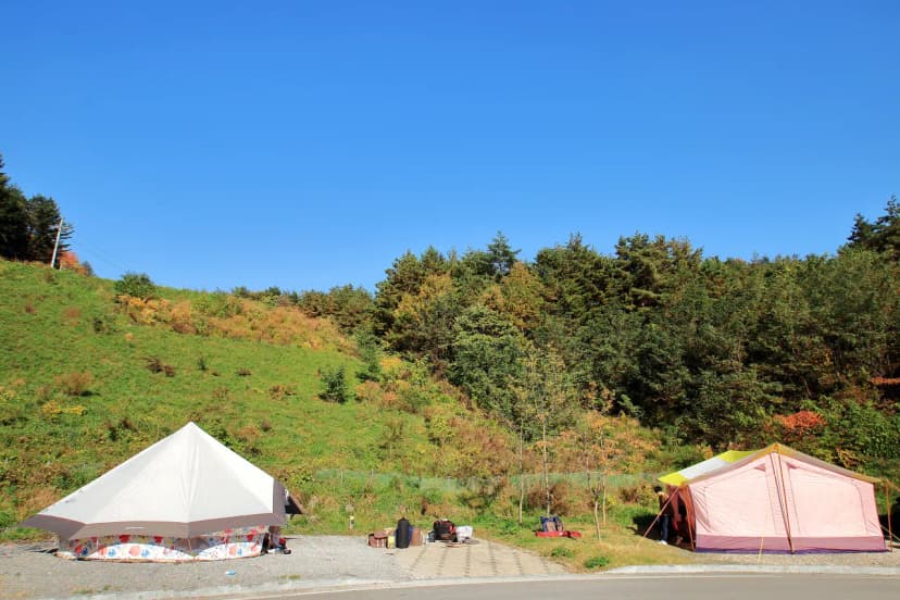 (주)하이원추추파크 사진 8