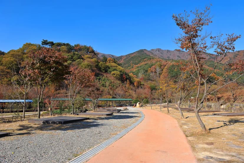 봉강 하조 오토캠핑장 사진 11