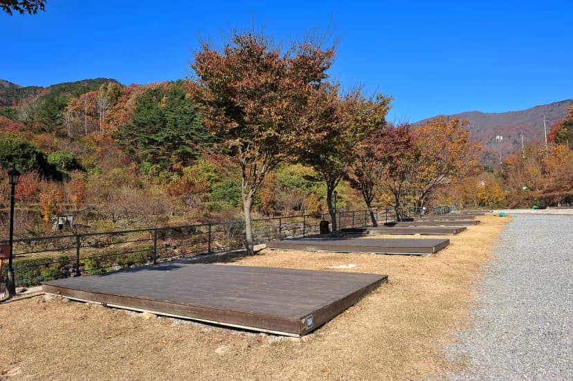 봉강 하조 오토캠핑장 사진 13