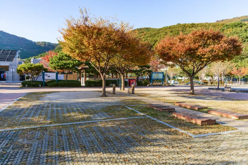 학동자동차 야영장 사진 6