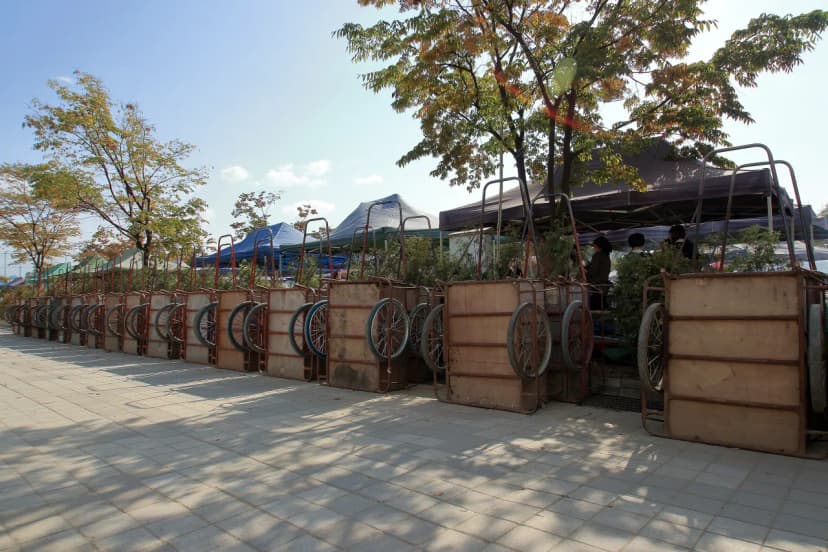 한강공원 난지캠핑장 사진 8