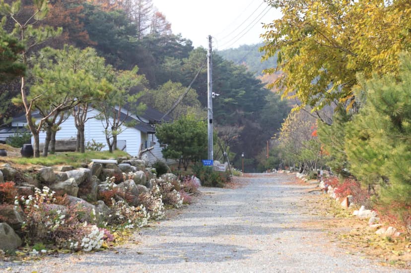 한다리골캠핑장 사진 3