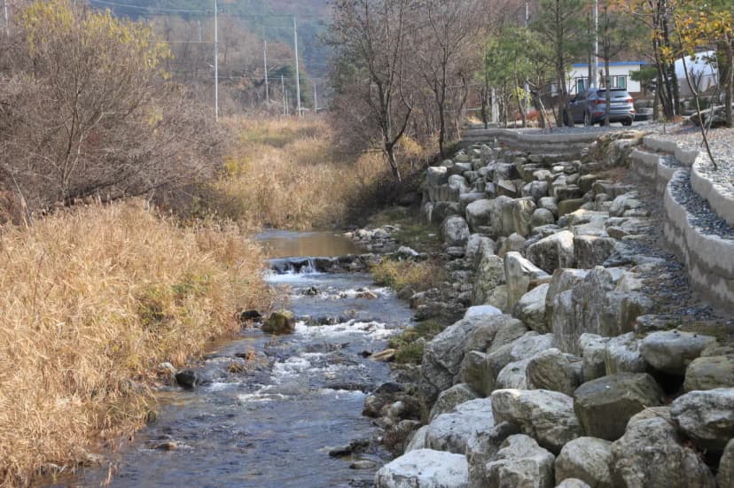한다리골캠핑장 사진 4