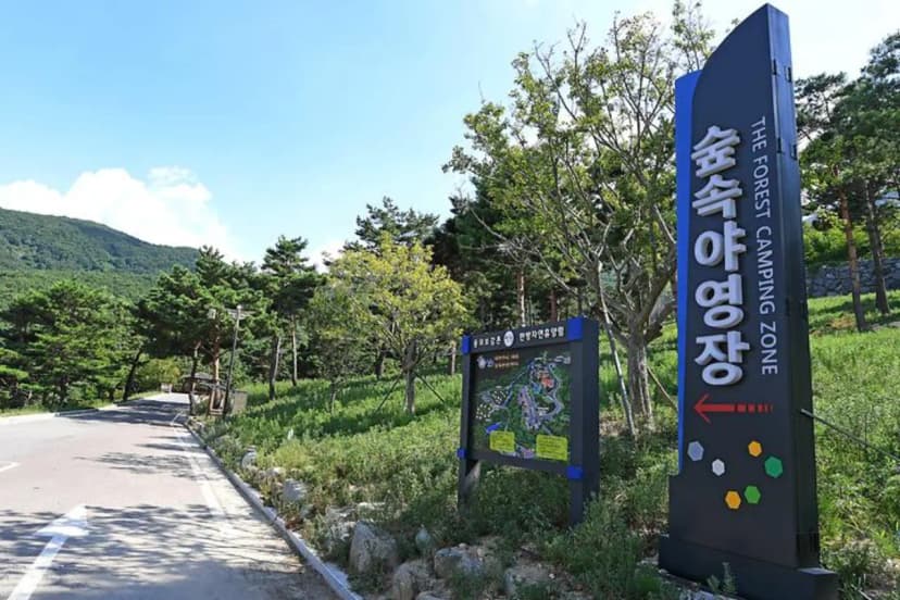한방자연휴양림 사진 3