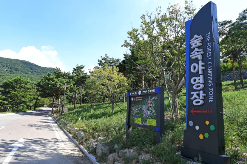 한방자연휴양림 사진 6