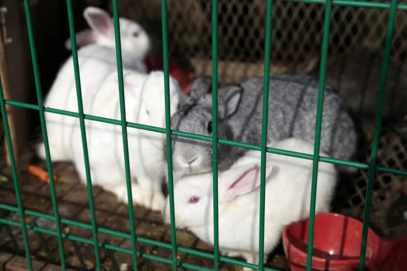한터팜오토캠핑장 사진 4