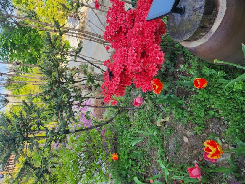 숲속애캠핑장 사진 12