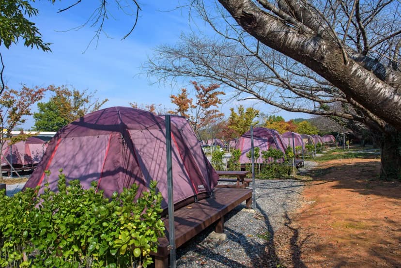 함평나비마을 서울캠핑장 사진 13