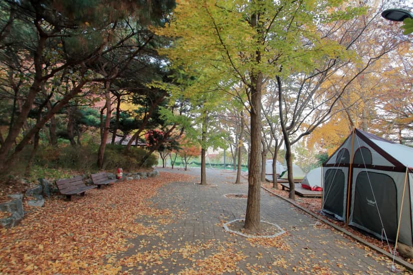 함허동천야영장 사진 5
