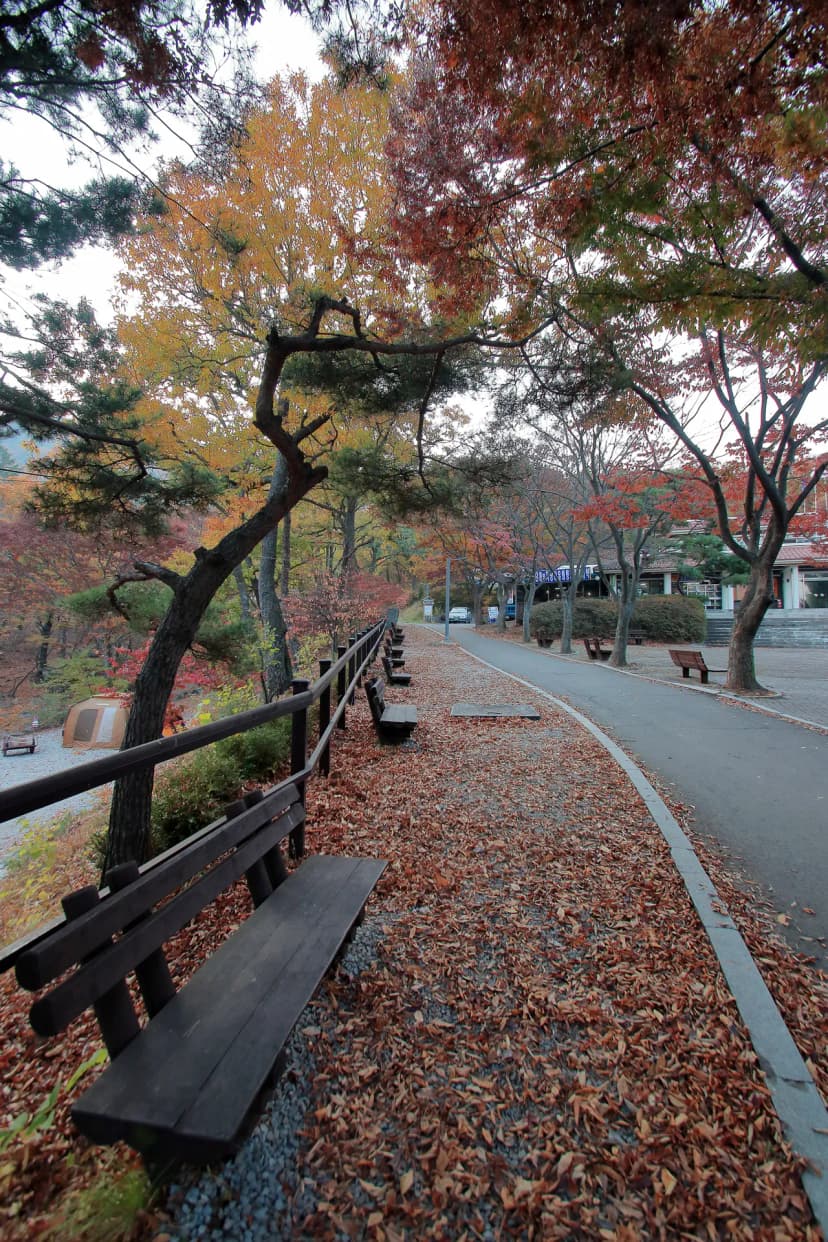 함허동천야영장 사진 9
