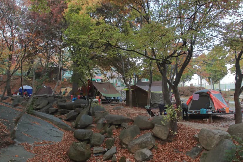 함허동천야영장 사진 13