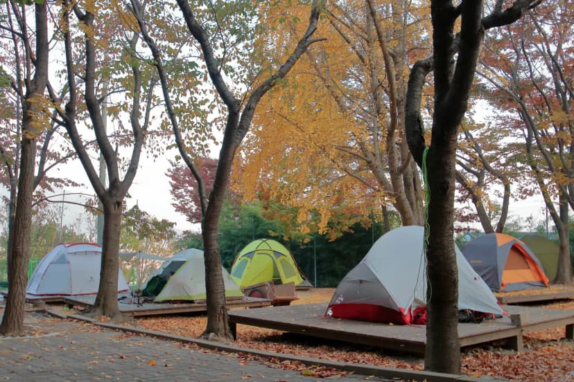 함허동천야영장 사진 14