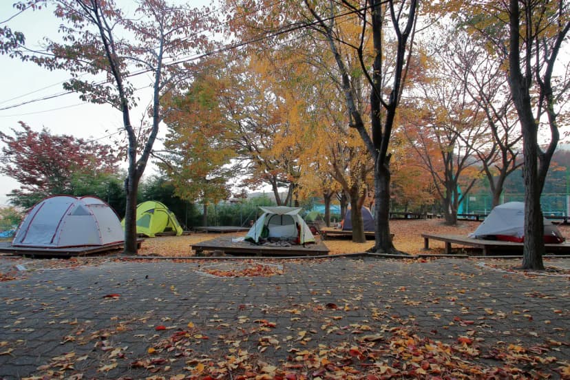 함허동천야영장 사진 15