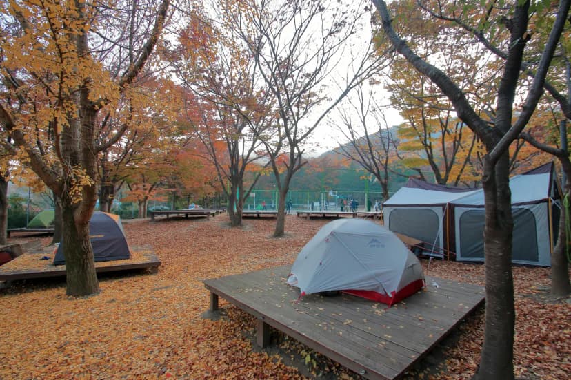 함허동천야영장 사진 16