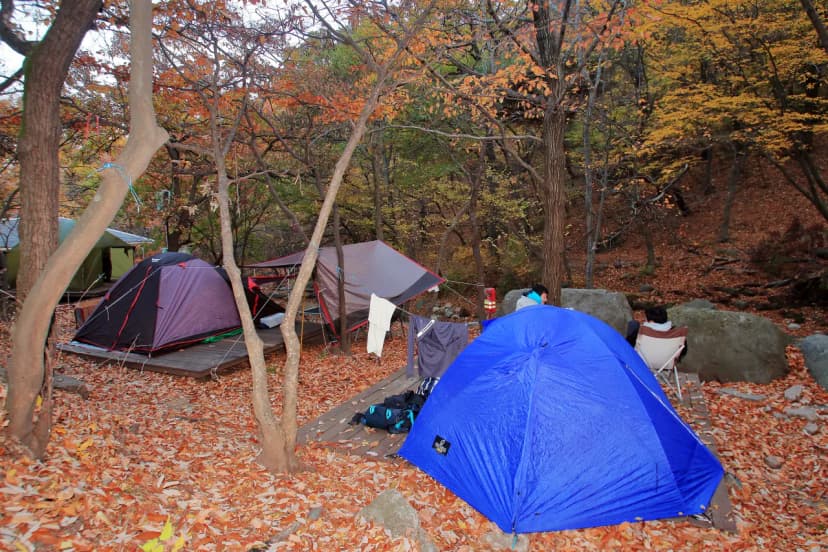 함허동천야영장 사진 17
