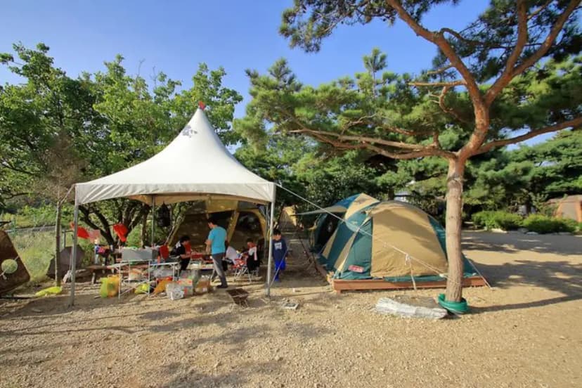 해솔길캠핑장