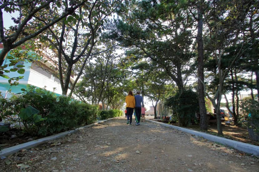 해솔길캠핑장 사진 12