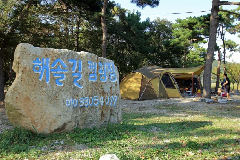 해솔길캠핑장 사진 13