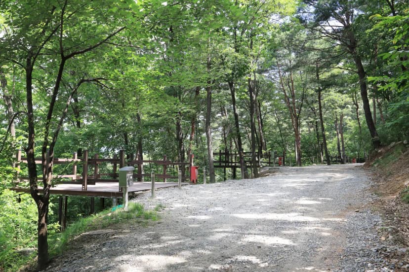 행복숲체험원 오토캠핑장 사진 6