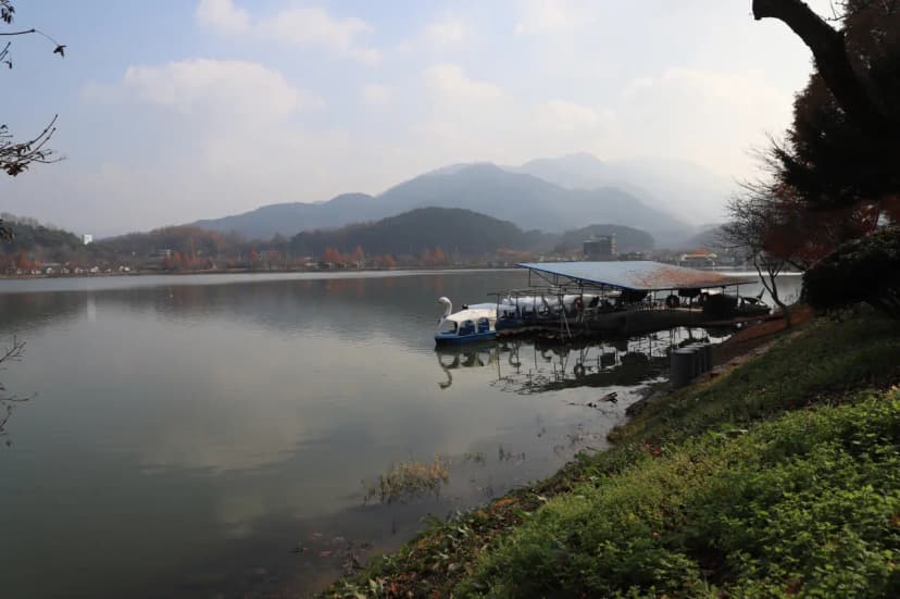 구룡레저타운야영장 사진 3