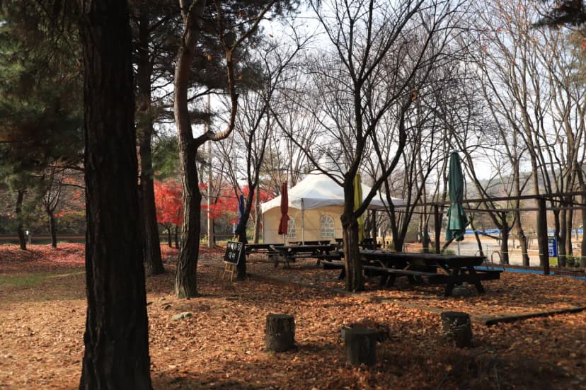 구룡레저타운야영장 사진 4