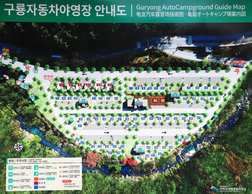 구룡자동차야영장(치악산국립공원) 사진 2
