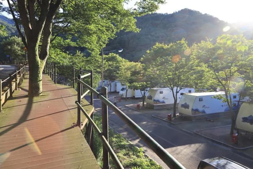 구룡자동차야영장(치악산국립공원) 사진 3