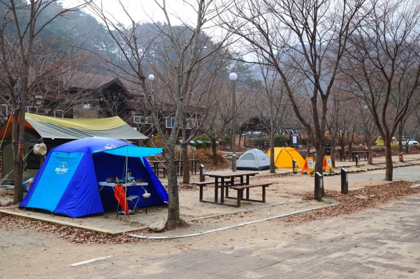 구룡자동차야영장(치악산국립공원) 사진 6
