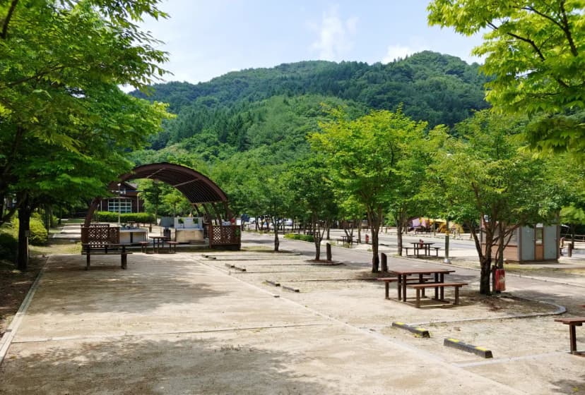 구룡자동차야영장(치악산국립공원) 사진 8