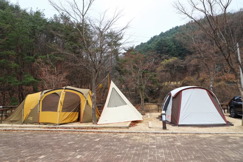 구룡자동차야영장(치악산국립공원) 사진 9
