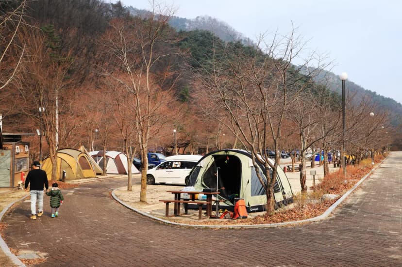 구룡자동차야영장(치악산국립공원) 사진 10