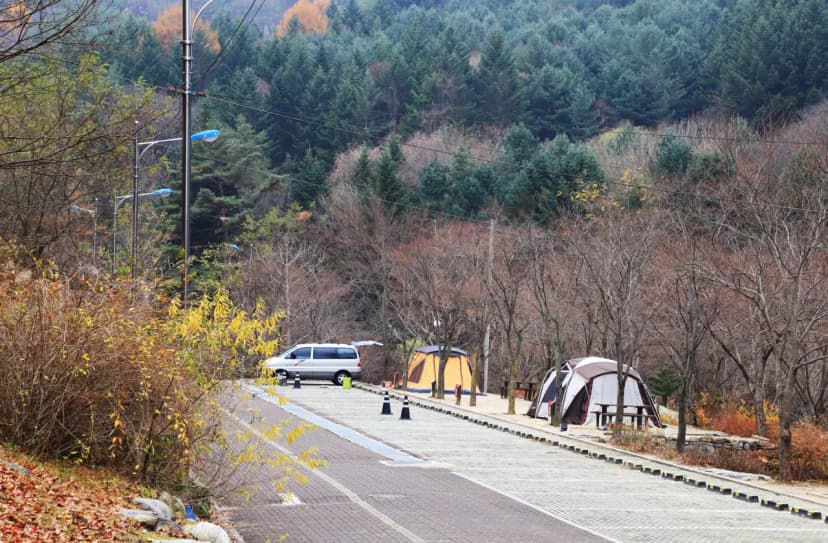 구룡자동차야영장(치악산국립공원) 사진 11
