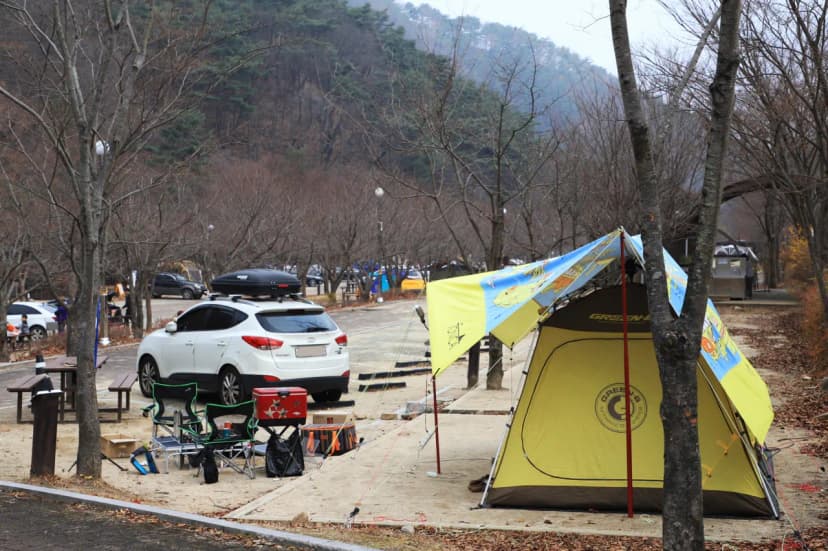 구룡자동차야영장(치악산국립공원) 사진 12