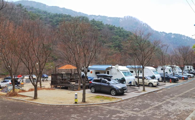 구룡자동차야영장(치악산국립공원) 사진 14
