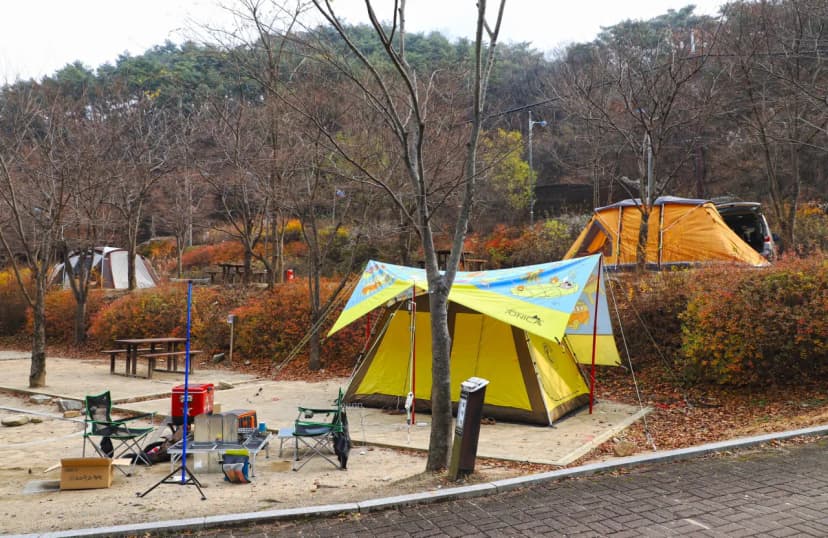 구룡자동차야영장(치악산국립공원) 사진 15