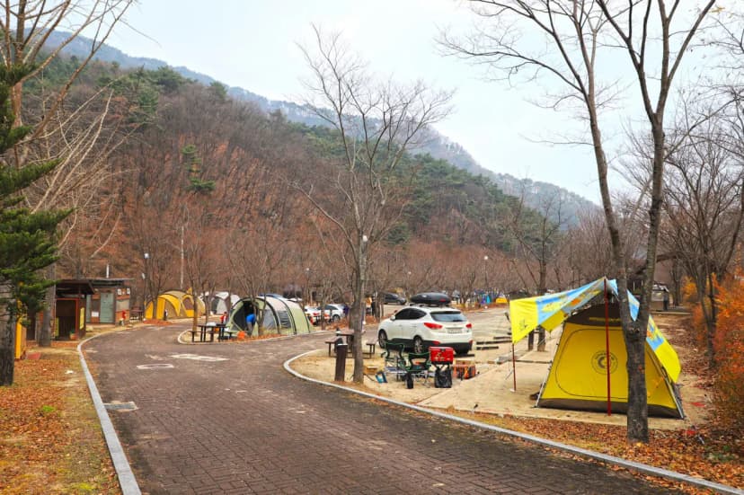 구룡자동차야영장(치악산국립공원) 사진 16