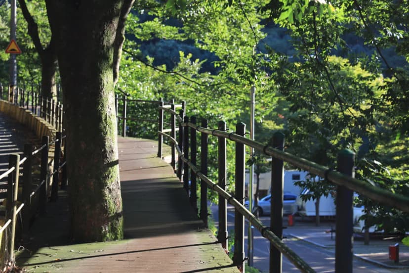 구룡자동차야영장(치악산국립공원) 사진 17