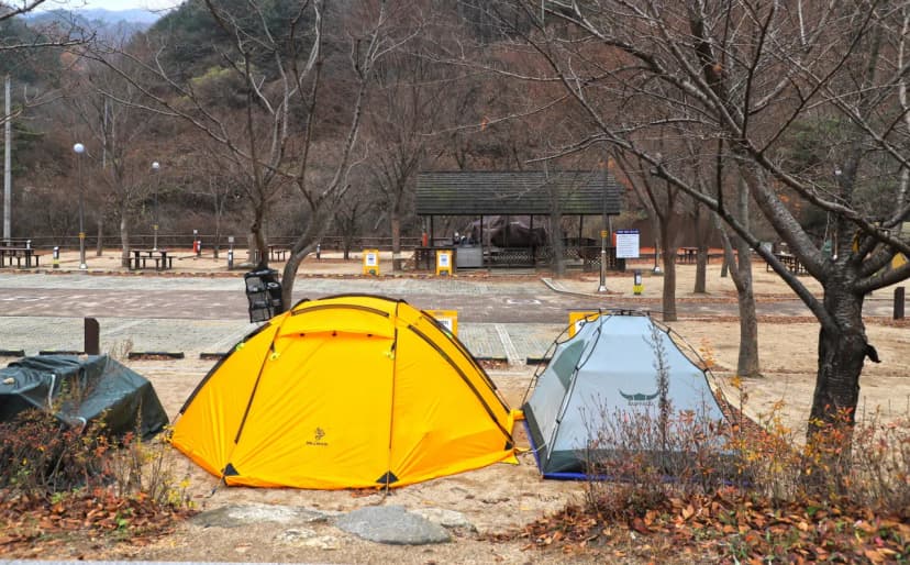 구룡자동차야영장(치악산국립공원) 사진 20