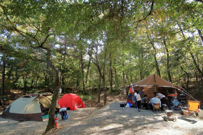 호수산장 관광농원 사진 12
