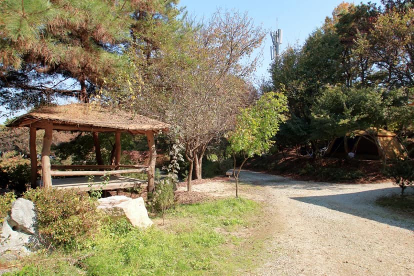 호수산장 관광농원 사진 14