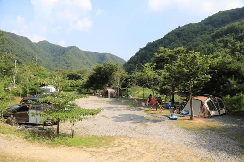 호식이 캠핑장 사진 3
