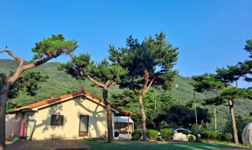 리틀빌리지