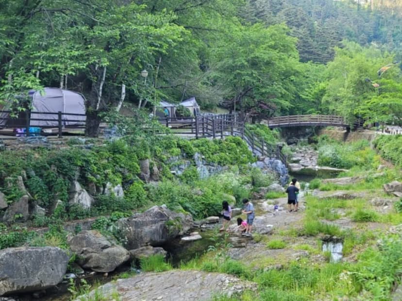 화암약수야영장 사진 5