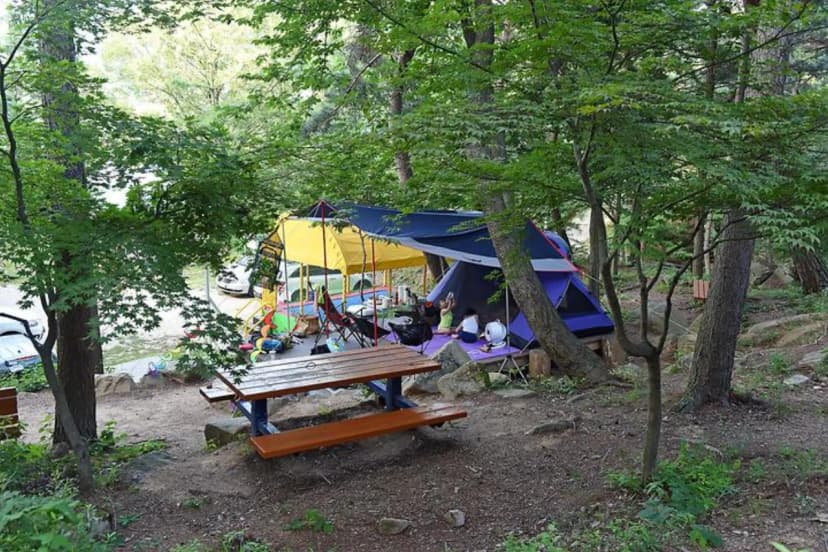 화왕산자연휴양림 사진 3