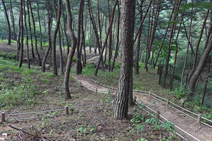 화왕산자연휴양림 사진 5
