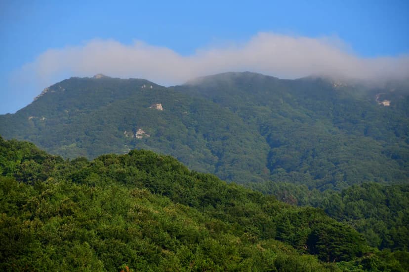 황매산 별쿵 캠핑장 사진 18